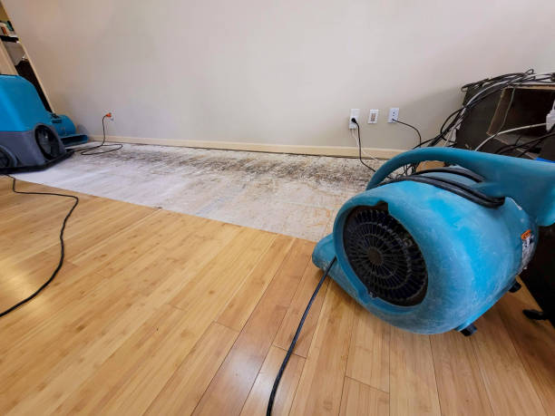 Reliable Basement Flood Cleanup contractor in Milfay, OK by Hirex Water Damage